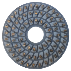 Алмазні полірувальні круги "GranitLion" для граніта #30, 250 мм.