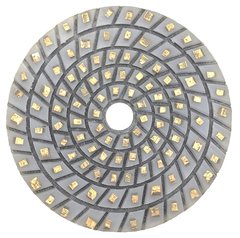 Алмазные полировальные круги GranitLion для гранита #30, 125 мм.